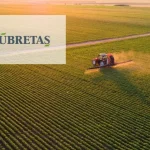 Gubretas__GUBRF__dev_sats_icin_ihale_suresini_uzat_1741609322